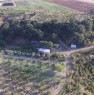 foto 1 - Terreni in agro di Montalbano Jonico a Matera in Vendita