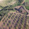foto 0 - Terreni in agro di Montalbano Jonico a Matera in Vendita