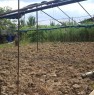 foto 0 - Lein terreno agricolo recintato a Torino in Vendita