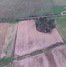 foto 0 - Castiadas terreno agricolo pianeggiante a Cagliari in Vendita