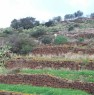 foto 6 - Pantelleria terreno Karebbe a Trapani in Vendita