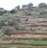 foto 2 - Pantelleria terreno Karebbe a Trapani in Vendita