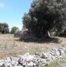 foto 3 - Ostuni terreno con trullo rustico a Brindisi in Vendita