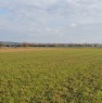 foto 0 - Villesse localit Vermatta terreno agricolo a Gorizia in Vendita
