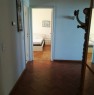 foto 1 - Falconara Marittima ampio e luminoso appartamento a Ancona in Affitto