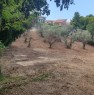 foto 4 - Terreno agricolo a Colle Macchiuzzo Termoli a Campobasso in Vendita