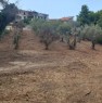foto 3 - Terreno agricolo a Colle Macchiuzzo Termoli a Campobasso in Vendita
