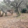 foto 2 - Terreno agricolo a Colle Macchiuzzo Termoli a Campobasso in Vendita