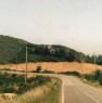 foto 3 - Villetta con circostante terreno agricolo ad Acri a Cosenza in Vendita