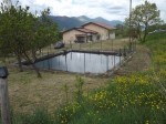 Annuncio vendita Satriano di Lucania villa con piscina