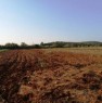 foto 3 - Sassari Tottubella terreno agricolo pianeggiante a Sassari in Vendita