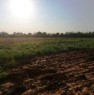 foto 2 - Sassari Tottubella terreno agricolo pianeggiante a Sassari in Vendita