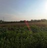 foto 1 - Sassari Tottubella terreno agricolo pianeggiante a Sassari in Vendita