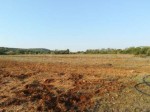 Annuncio vendita Sassari Tottubella terreno agricolo pianeggiante
