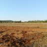foto 0 - Sassari Tottubella terreno agricolo pianeggiante a Sassari in Vendita