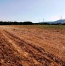 foto 1 - zona Porto Torres terreno agricolo a Sassari in Vendita