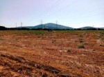 Annuncio vendita zona Porto Torres terreno agricolo