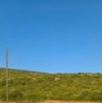 foto 3 - Alghero Santa Maria La Palma terreno agricolo a Sassari in Vendita