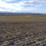 foto 1 - Lucera contrada Ripatetta terreni ad uso agricolo a Foggia in Vendita