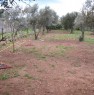foto 33 - Assemini fondo agrario a Cagliari in Vendita