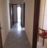 foto 1 - Fiumicino Aranova appartamento in villa a Roma in Affitto