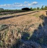foto 0 - Leverano terreno agricolo a Lecce in Vendita