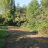 foto 7 - Carr appezzamento di terreno agricolo irriguo a Cuneo in Vendita