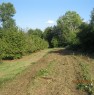 foto 3 - Carr appezzamento di terreno agricolo irriguo a Cuneo in Vendita