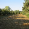 foto 0 - Carr appezzamento di terreno agricolo irriguo a Cuneo in Vendita