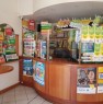 foto 7 - Acqui Terme licenza caffetteria & ricevitoria a Alessandria in Vendita