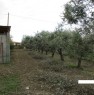 foto 5 - Misano Adriatico terreno agricolo con vista mare a Rimini in Vendita