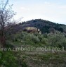 foto 2 - Spoleto Montemartano azienda agricola a Perugia in Vendita