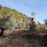 foto 2 - Arpino terreno agricolo con rustico a Frosinone in Vendita