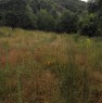 foto 4 - Campagnatico terreno agricolo a Grosseto in Vendita