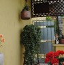 foto 9 - Solferino appartamento con vista panoramica a Mantova in Vendita