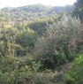foto 1 - San Sossio Baronia casa immersa nel verde a Avellino in Vendita