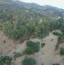foto 4 - Tertenia localit Furcidda Sa Figu terreno a Ogliastra in Vendita