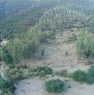 foto 2 - Tertenia localit Furcidda Sa Figu terreno a Ogliastra in Vendita