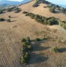 foto 2 - Tertenia in posizione panoramica terreno agricolo a Ogliastra in Vendita