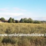 foto 0 - Todi terreno pianeggiante a Perugia in Vendita