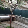 foto 6 - Nocera Superiore immobile con giardino a Salerno in Vendita