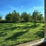 foto 4 - Badia Polesine rustico con terreno a Rovigo in Vendita