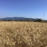 foto 3 - Valmontone terreni agricoli a Roma in Vendita