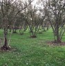 foto 2 - Valmontone terreni agricoli a Roma in Vendita