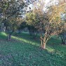 foto 1 - Valmontone terreni agricoli a Roma in Vendita