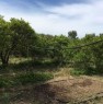 foto 3 - In San Sperate terreno agricolo a Cagliari in Vendita