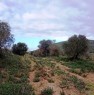 foto 4 - Alghero Agro terreno agricolo con bifamiliari a Sassari in Vendita