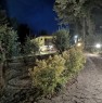 foto 20 - Zeri villa a Massa-Carrara in Vendita