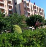foto 20 - Appartamento sito a Marotta a Pesaro e Urbino in Affitto