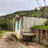 foto 5 - Ascea terreno agricolo a Salerno in Vendita